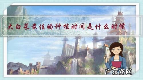 大白菜最佳的种植时间是什么时候?