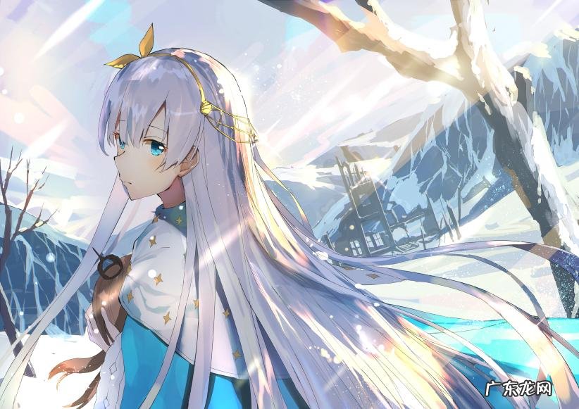 fate全人物图鉴 fate zero