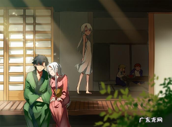 fate全人物图鉴 fate zero