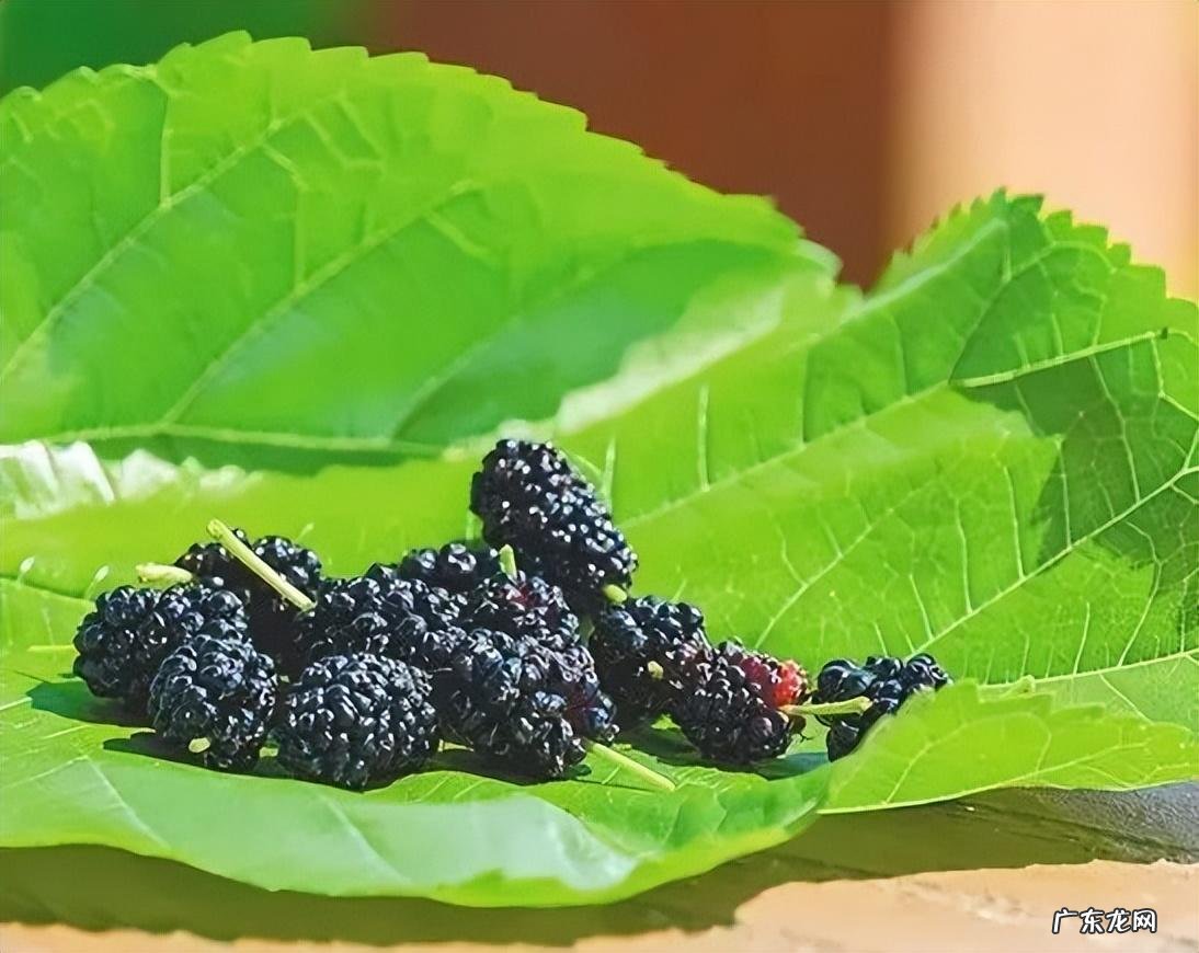 失眠耳鸣是什么原因引起的