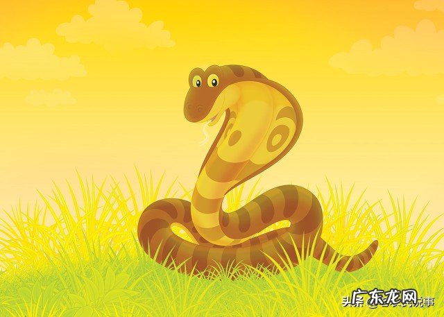 农村俗语 房屋住宅风水白虎高怎么样