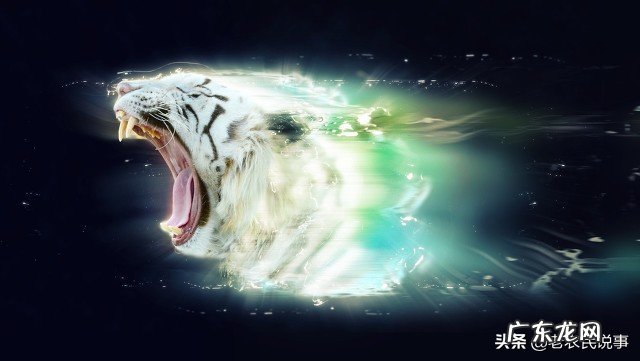 农村俗语 房屋住宅风水白虎高怎么样