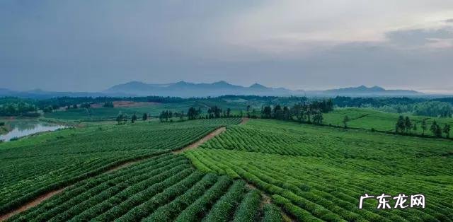 桃花源古镇特点 桃花源古镇的选址与风水有关吗