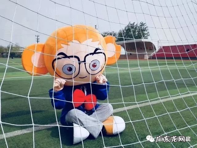 注意!2019专升本考试成绩查询入口已正式开放!点击速查! 专升本考试成绩查询系统