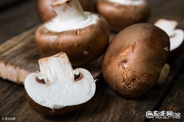 脱水香菇干有营养吗，营养价值如何？