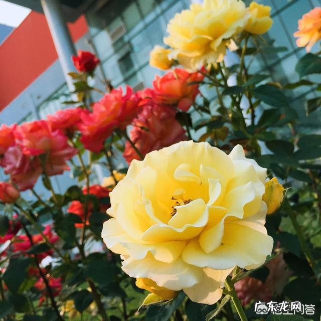 有哪些戳中人心,句句精辟的经典语录?