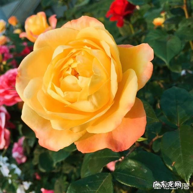 有哪些戳中人心,句句精辟的经典语录?