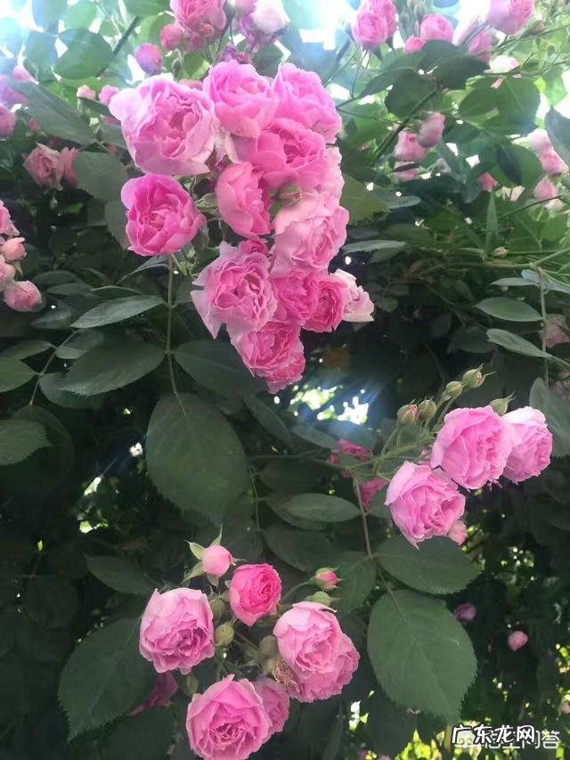 有哪些戳中人心,句句精辟的经典语录?