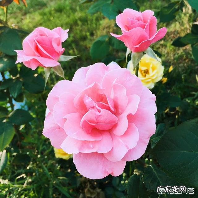 有哪些戳中人心,句句精辟的经典语录?