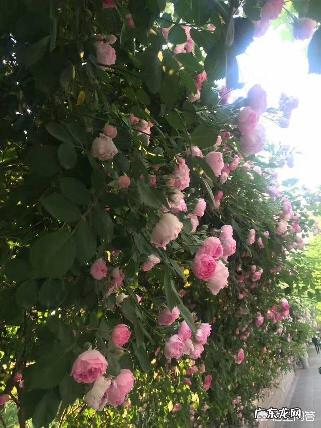 有哪些戳中人心,句句精辟的经典语录?