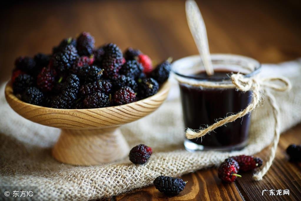 女人吃桑葚的功效与作用 女人吃桑葚的禁忌是什么