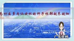 为什么多肉仙女杯的杆子根部越养越细？