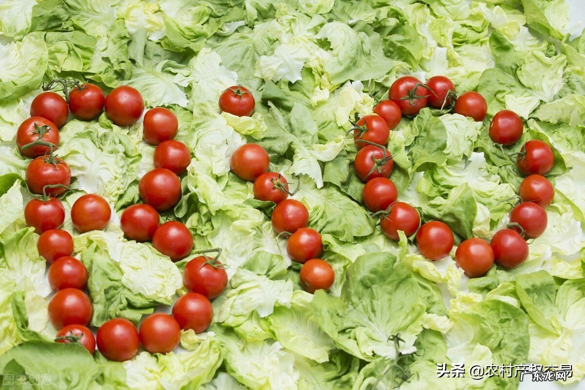 开厂创业 创业办厂项目