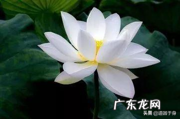 君子慎独 君子慎独