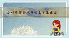 小叶紫檀珠子变色了是不是就已经包浆了 小叶紫檀的珠子发乌了怎么办？