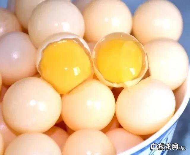 甲鱼蛋的营养价值有哪些?