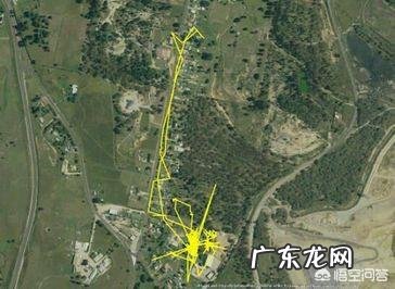 猫咪为什么那么喜欢睡觉？