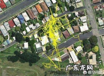 猫咪为什么那么喜欢睡觉？