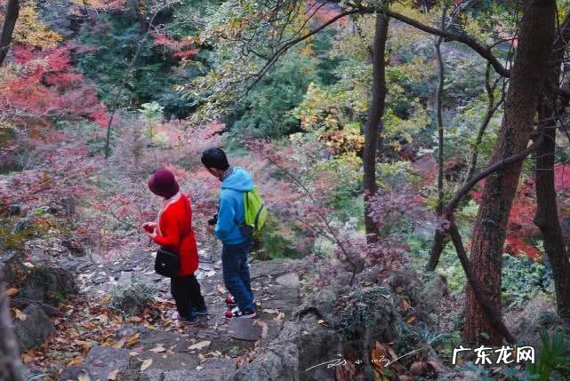 南京人民请问栖霞山的栖到底应该读还是 栖的拼音和意思