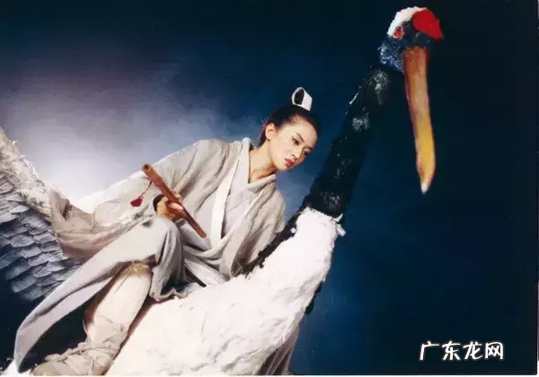 赏色芳华绝代梅艳芳 梅艳芳个人资料简介