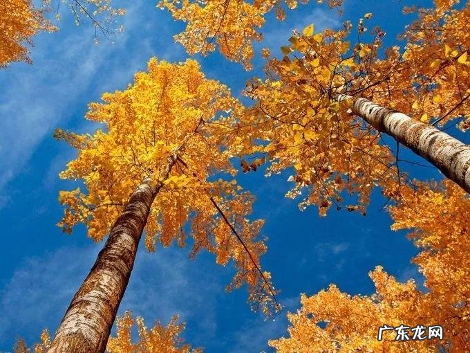 秋天的深处 秋天的深处个字