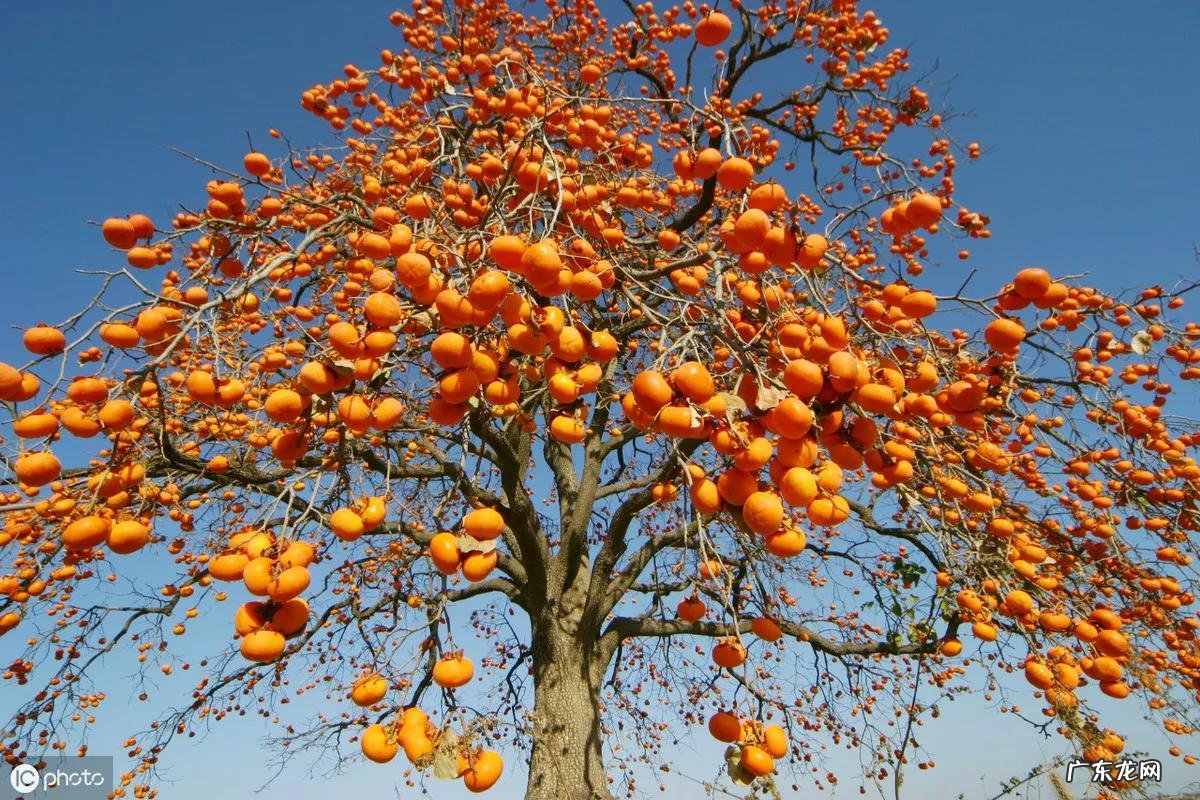 秋天的深处 秋天的深处个字