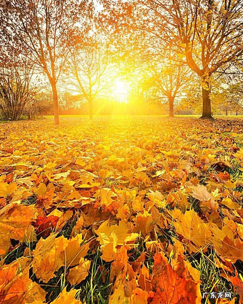 秋天的深处 秋天的深处个字