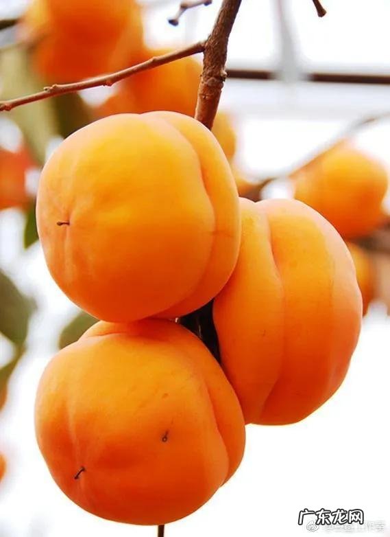 秋天的深处 秋天的深处个字