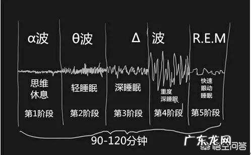 你们有睡觉快睡着的时候,梦见下楼梯摔倒或者是被绊倒就突然醒过来的现象吗?这是为何?