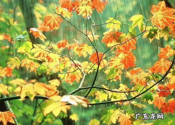 秋雨绵绵,晨雾缭绕,韵味十足,给人无限喜悦 生意葱茏造句子