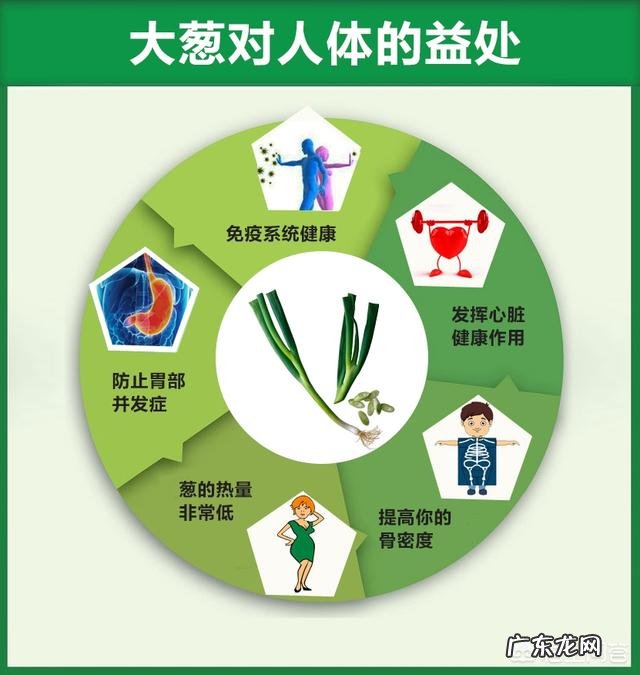 大葱的营养价值有哪些?