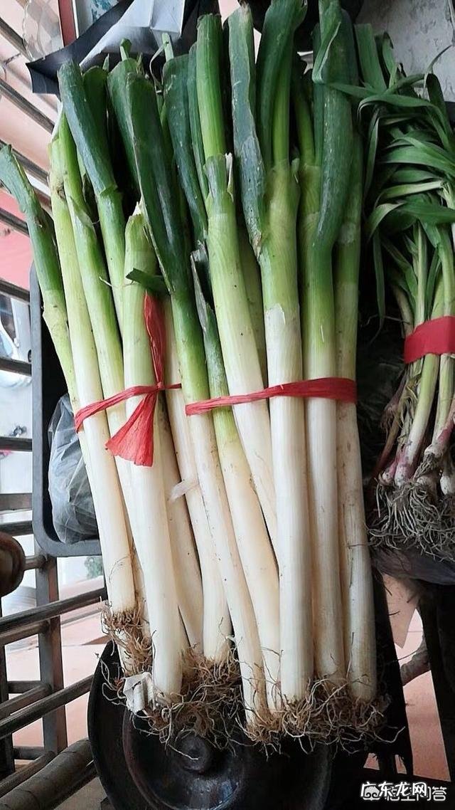 大葱的营养价值有哪些?