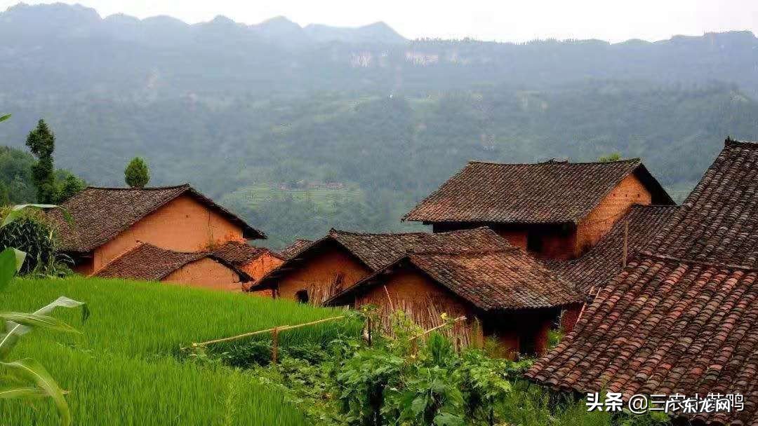 盖房讲究多 住宅两边房屋高风水