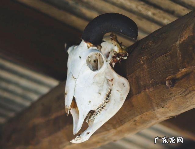 小区风水最忌讳什么 家庭最忌讳的4个风水图片