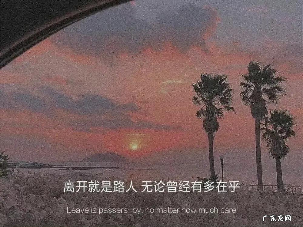 文章段落摘抄赏析 摘抄加赏析加书名