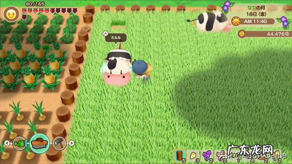 psp牧场物语蜜糖村打工 psp牧场物语蜜糖村 全攻略