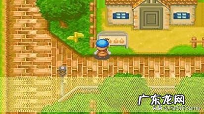 psp牧场物语蜜糖村打工 psp牧场物语蜜糖村 全攻略