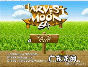 psp牧场物语蜜糖村打工 psp牧场物语蜜糖村 全攻略