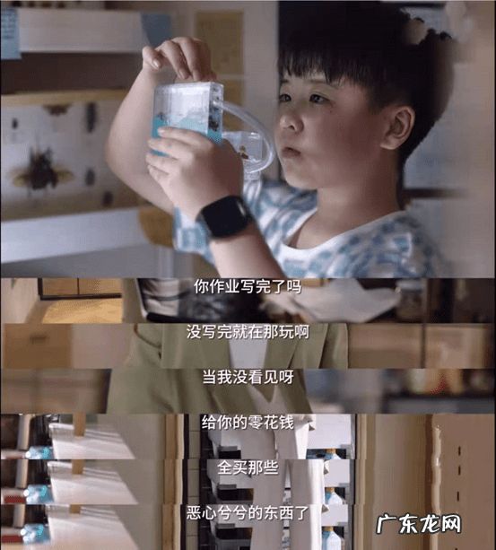 帕奇不见了 帕奇找不到了