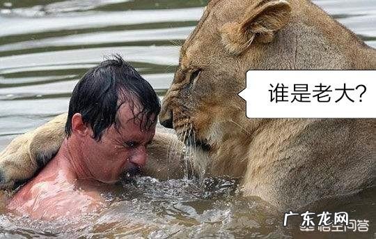 有哪些看起来战五渣,实际战斗力爆表的生物?