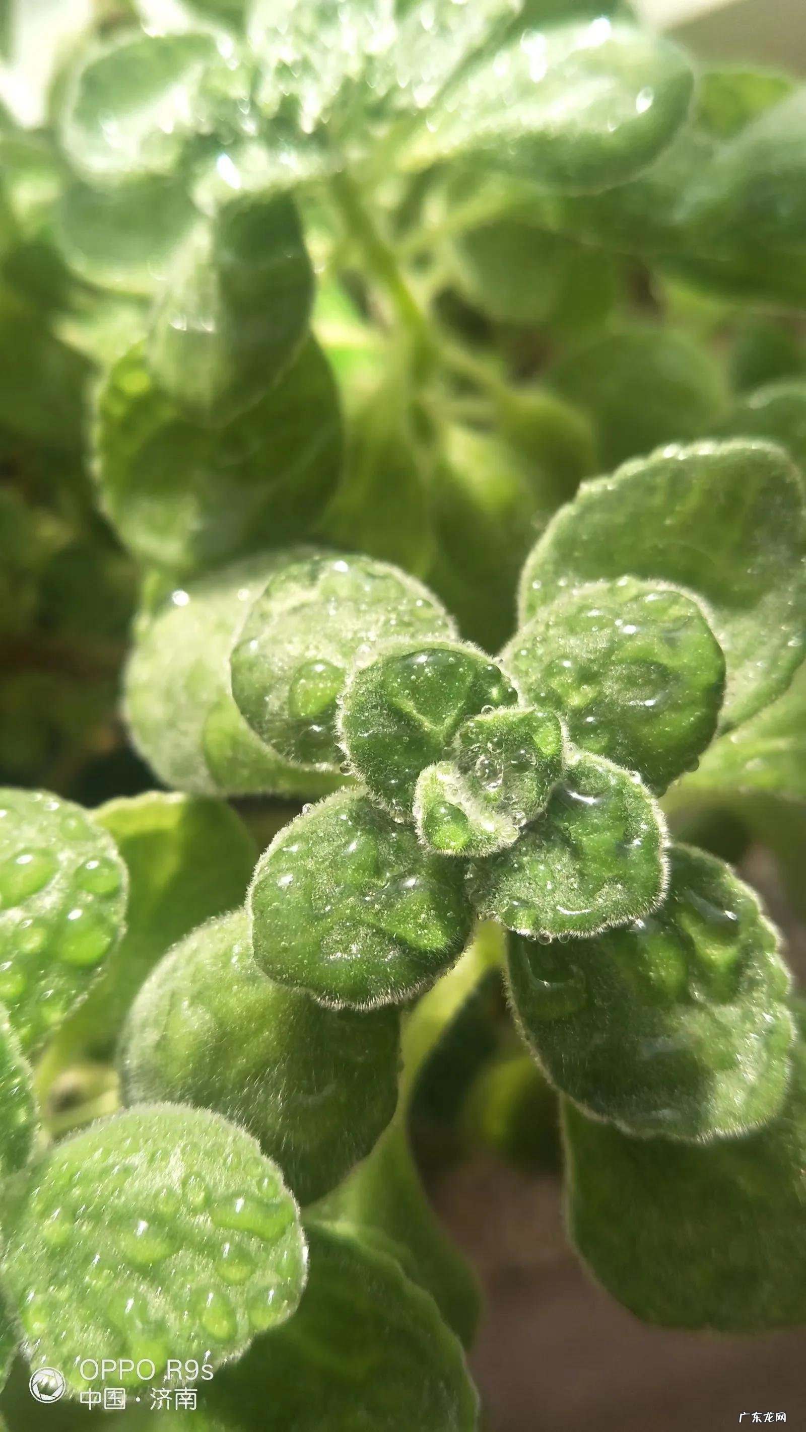 清明节能理发吗 清明节理发好吗?