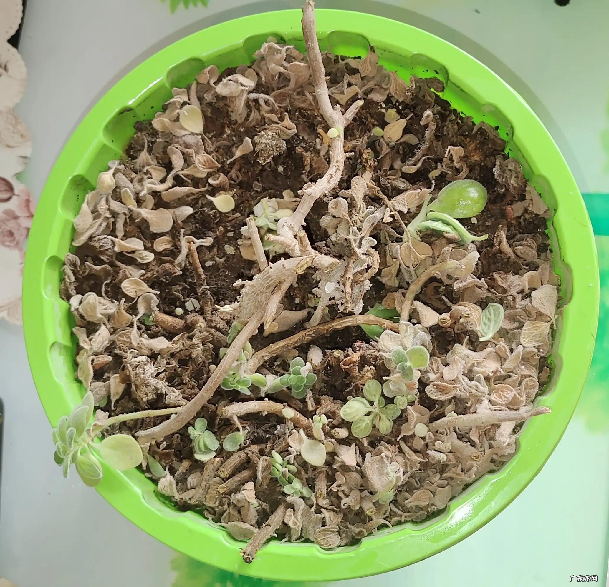 清明节能理发吗 清明节理发好吗?