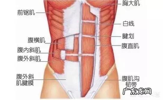 平板支撑多长时间有效果?
