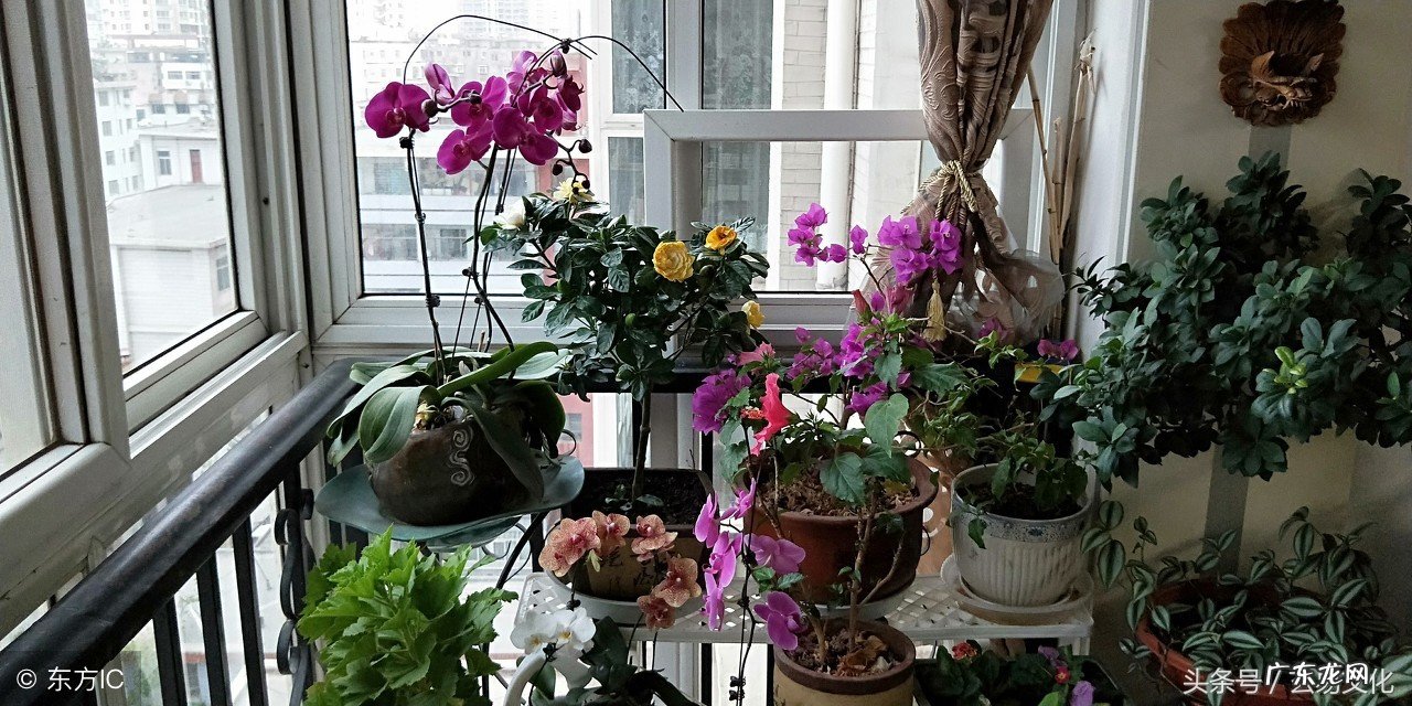 阳宅风水大全 阳宅风水《房屋选择与室内布局》