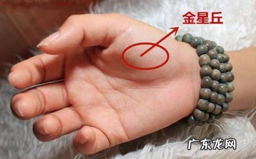 手掌风水知识
