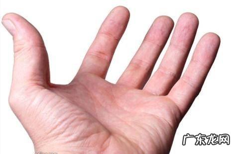 手掌风水知识