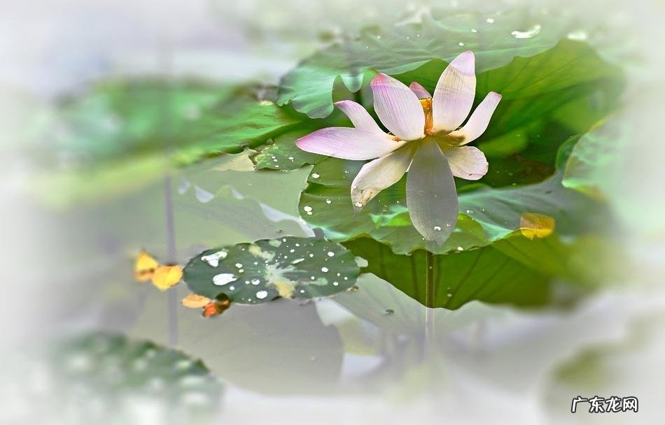 风水中束气是什么意思 拾气在风水中的意思是