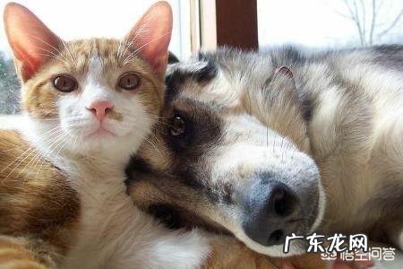 女生说什么话会让男生瞬间服软?