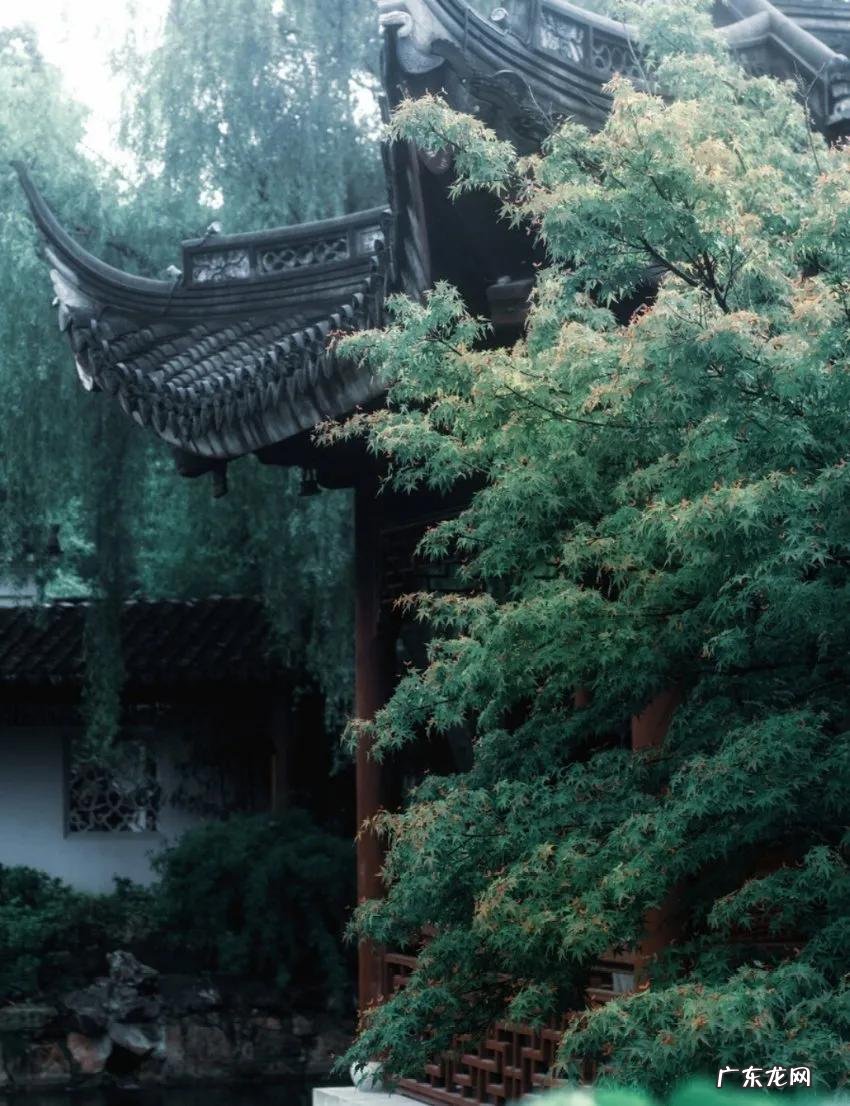 荼蘼拼音 荼蘼怎么读是什么意思