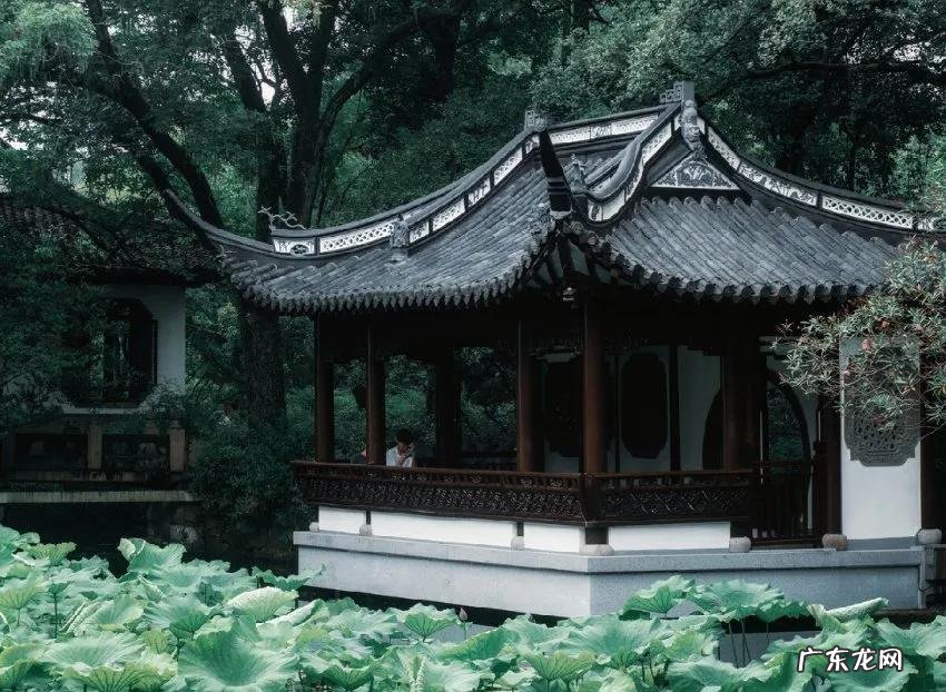 荼蘼拼音 荼蘼怎么读是什么意思